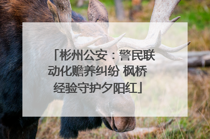 彬州公安：警民联动化赡养纠纷 枫桥经验守护夕阳红